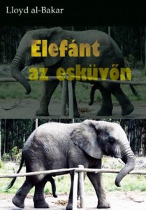 elefánt esküvőn porcelánboltban