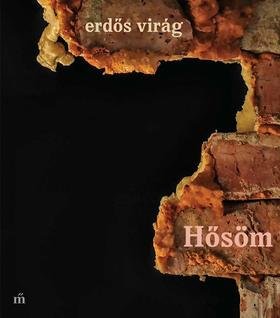 Erdős Virág: Hősöm